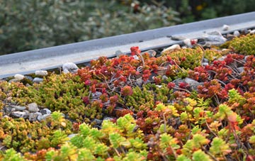 the cost of Mansriggs green roof installation