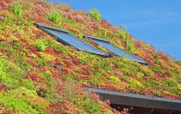 Mansriggs living roof systems